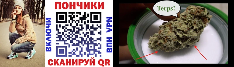 МАРИХУАНА LSD WEED  даркнет сайт  Курчалой 
